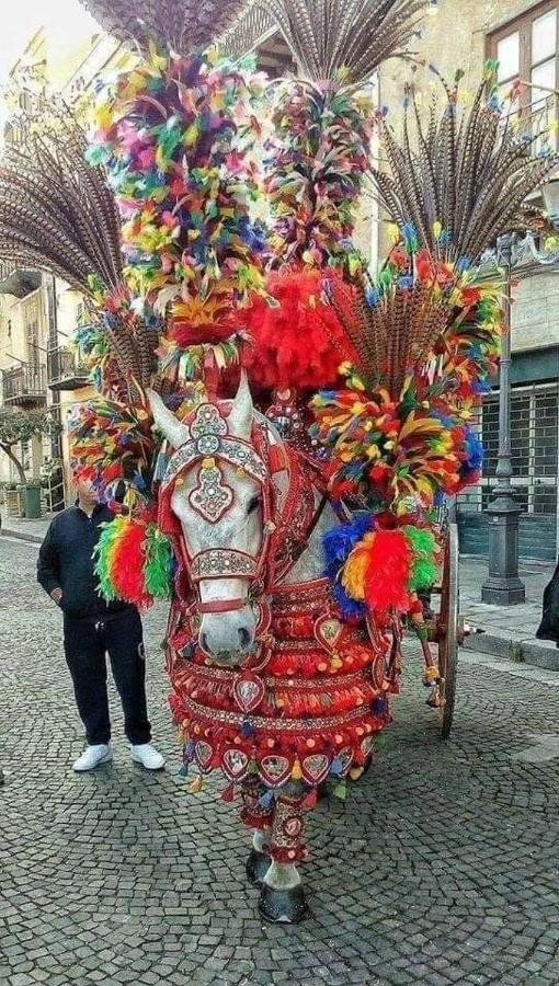 Sicilia Bedda House Leilighet Cefalù Eksteriør bilde